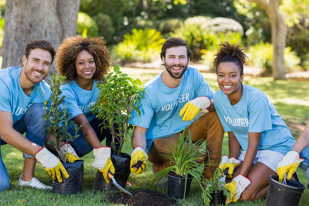 Afforestation program held by foundation